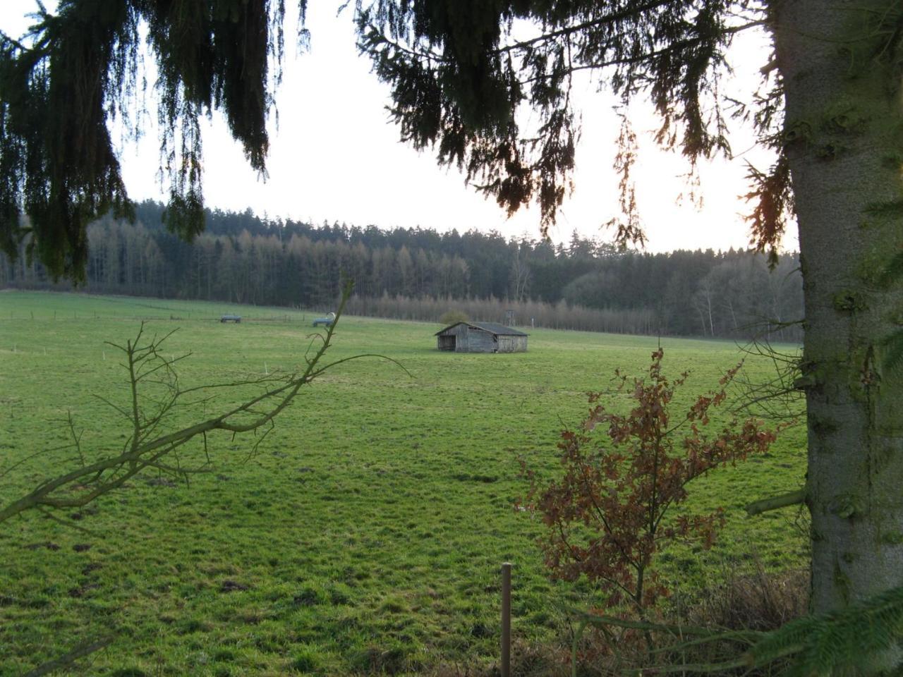 Ferienwohnung Prior Bad Emstal Extérieur photo
